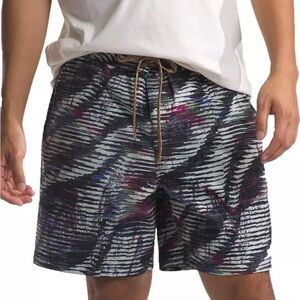 Men’s The North Face Shorts L